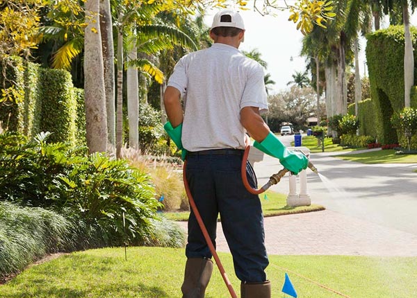 About Westville NJ Pest Control Pros